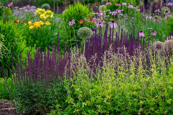 Garten und Spazierweg